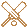 Cricket Academy